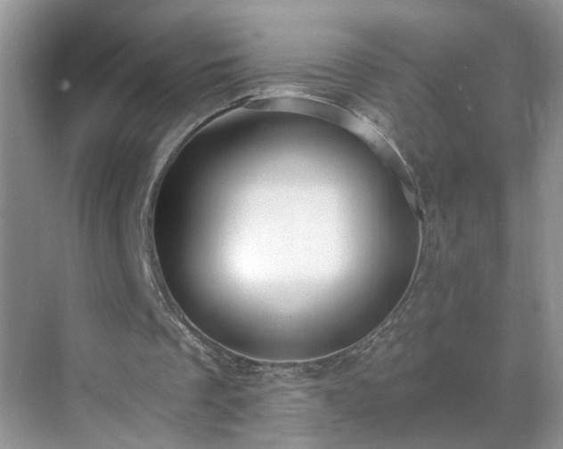 X0000071350289200606301659