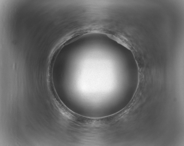 X0000071350293200606301659