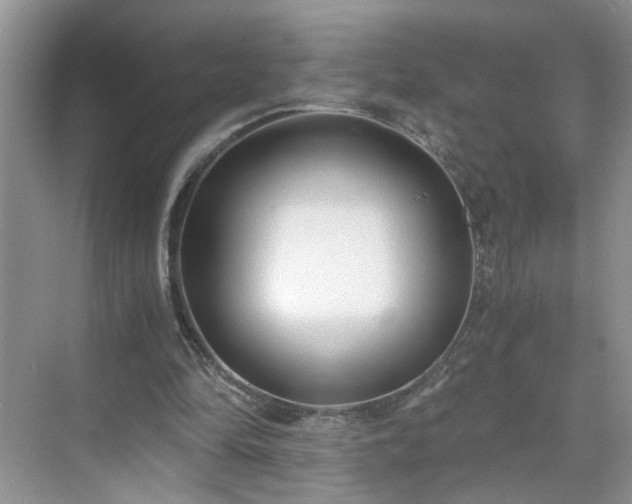 X0000071350294200606301659