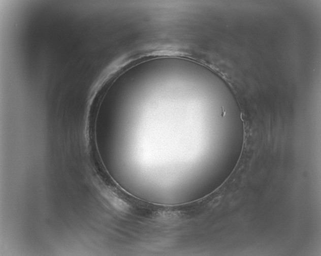 X0000071350296200606301659