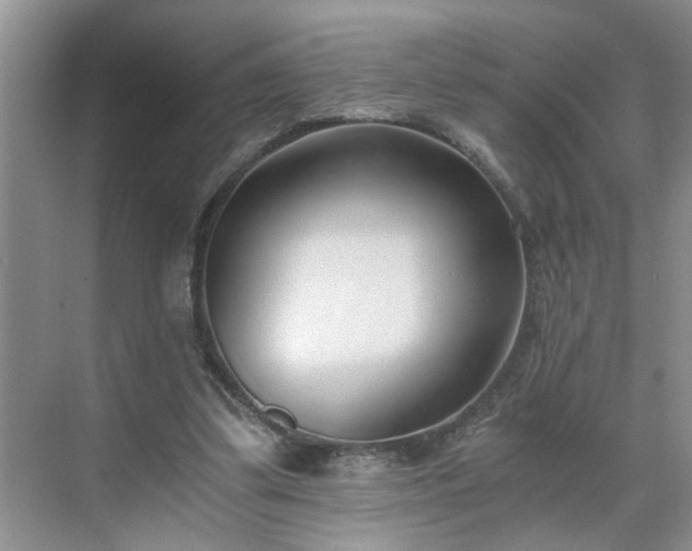 X0000071350299200606301659