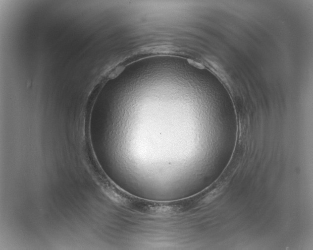 X0000071350301200606301659