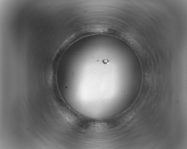 X0000071350304200606301659