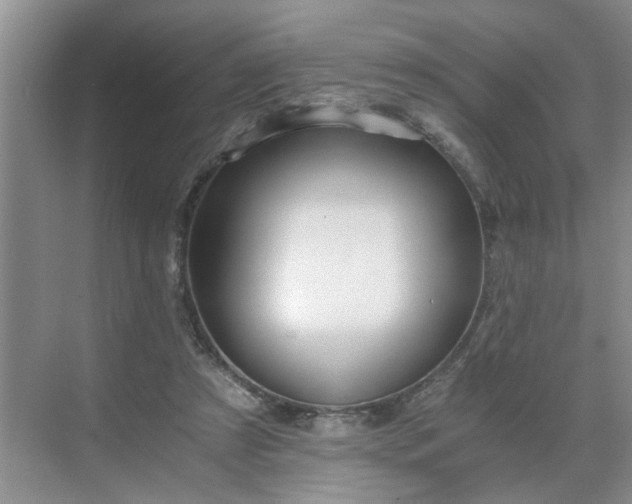 X0000071350305200606301659