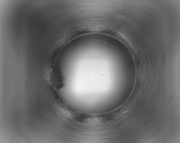 X0000071350307200606301659