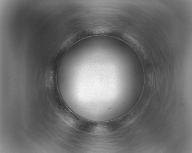 X0000071350308200606301659