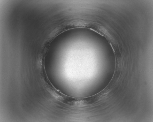 X0000071350309200606301659