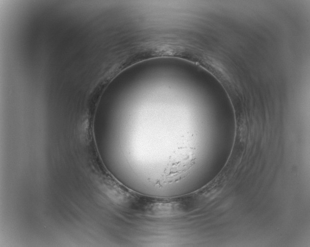 X0000071350314200606301659