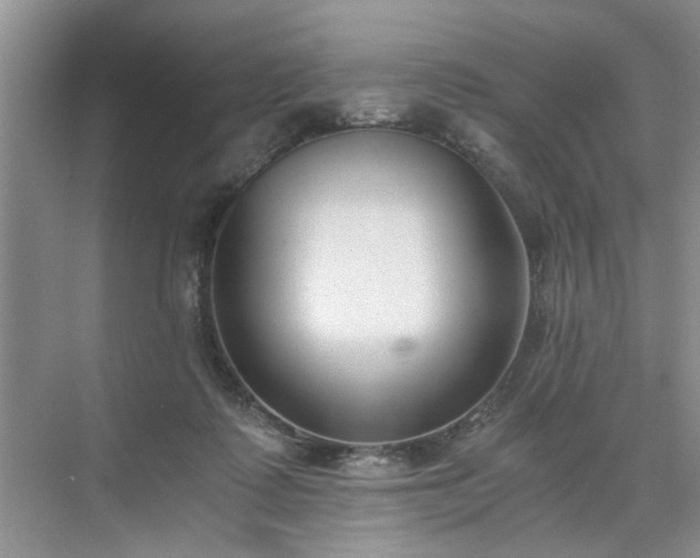 X0000071350315200606301659