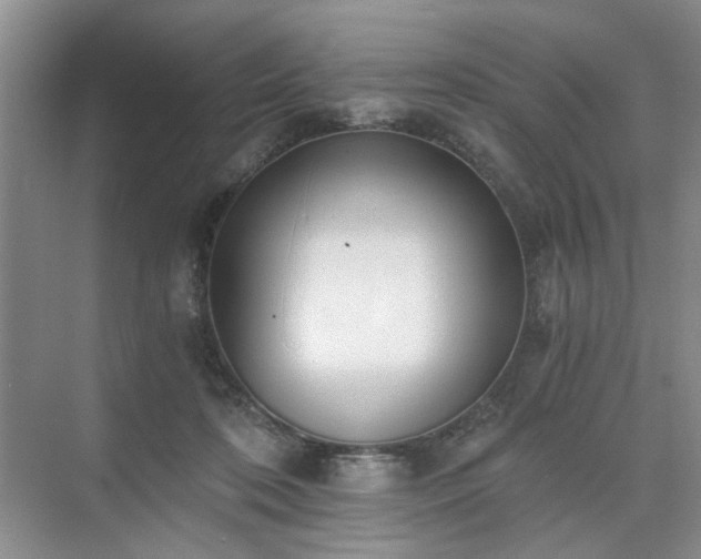 X0000071350316200606301659