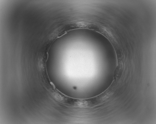 X0000071350317200606301659