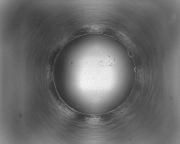 X0000071350318200606301659