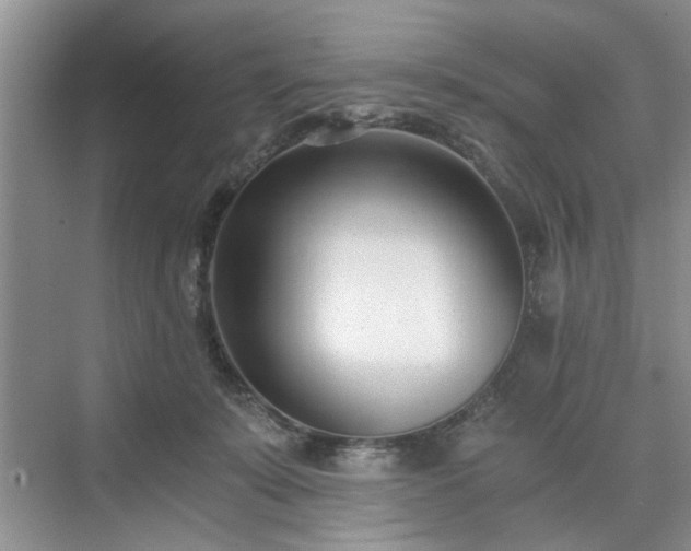 X0000071350319200606301659