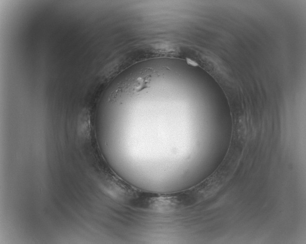 X0000071350320200606301659