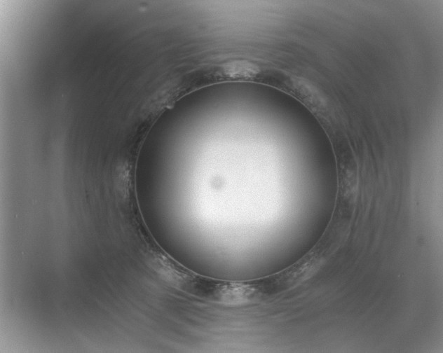 X0000071350321200606301659