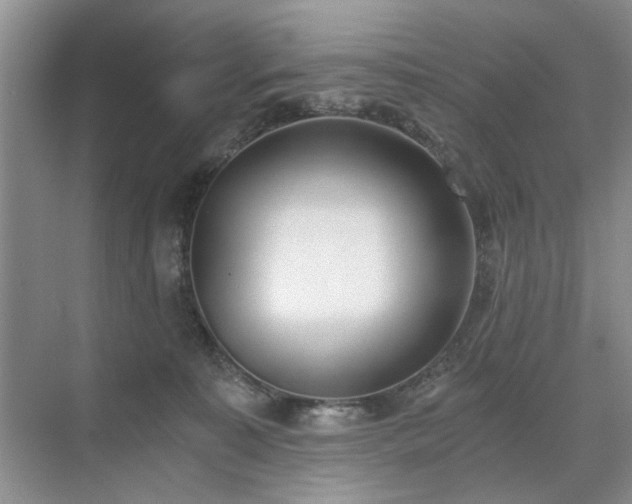 X0000071350323200606301659