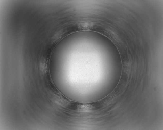 X0000071350324200606301659