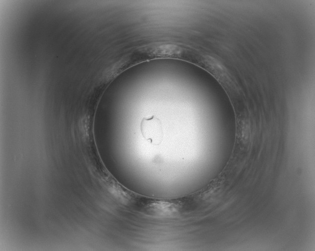 X0000071350326200606301659