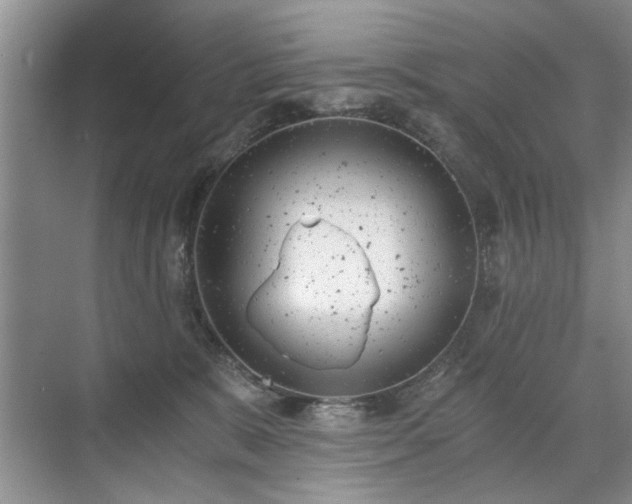 X0000071350327200606301659