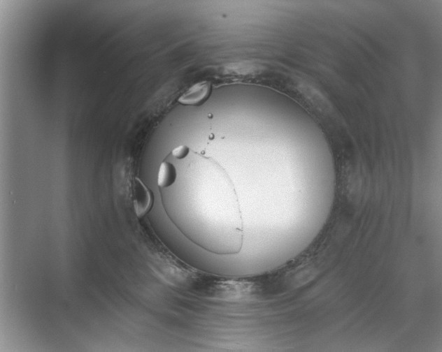 X0000071350328200606301659