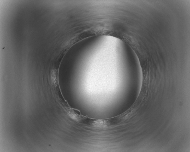 X0000071350335200606301658