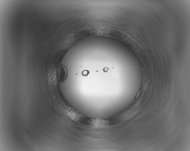 X0000071350336200606301658