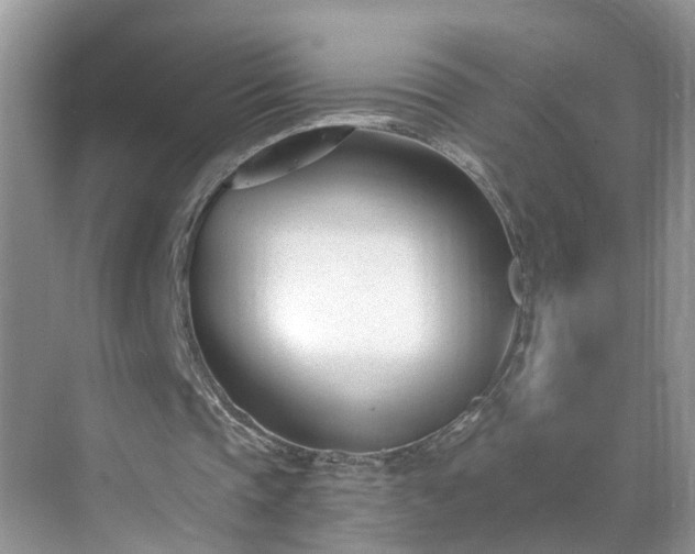 X0000071350337200606301658