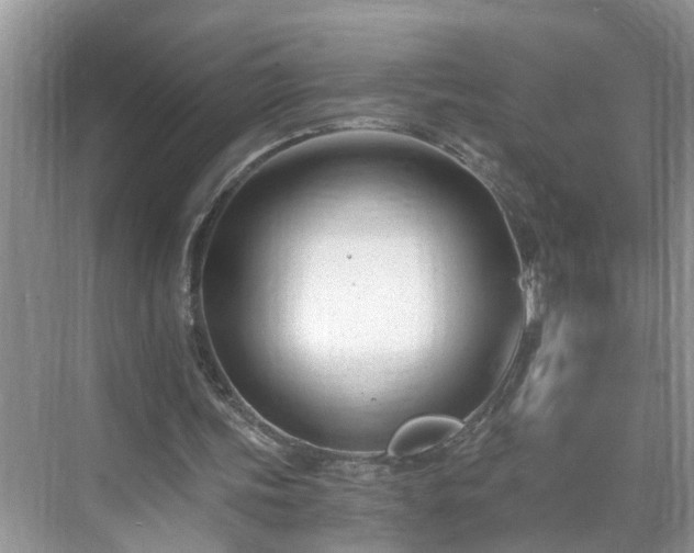 X0000071350339200606301658