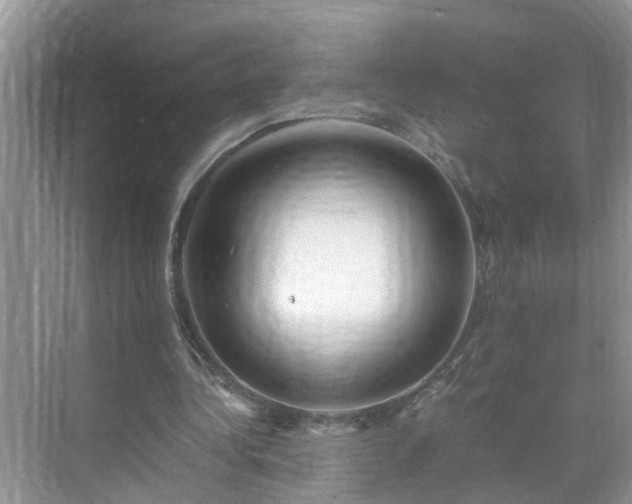 X0000071350340200606301658