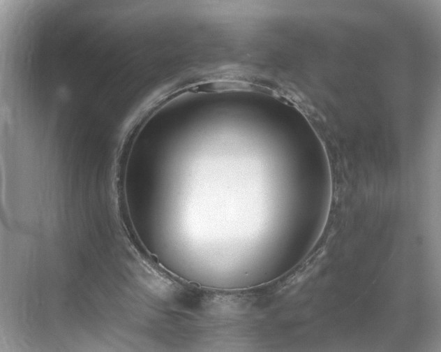 X0000071350341200606301658