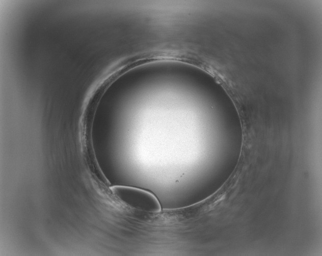 X0000071350343200606301658