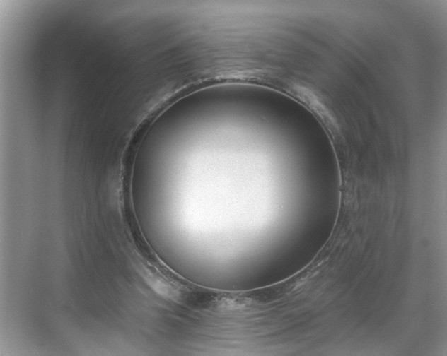 X0000071350346200606301658