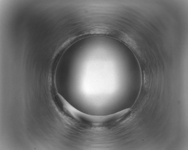 X0000071350348200606301658