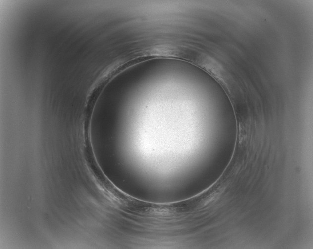 X0000071350349200606301658