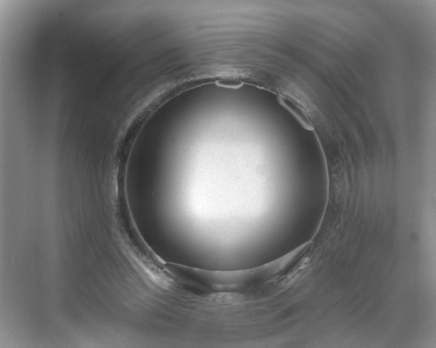 X0000071350350200606301658