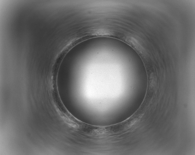 X0000071350351200606301658