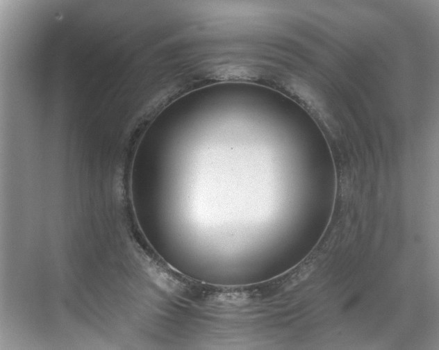 X0000071350353200606301658