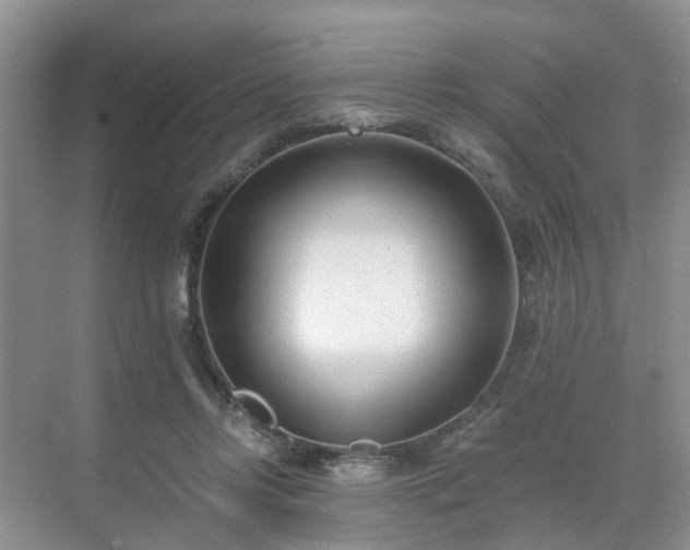 X0000071350358200606301658