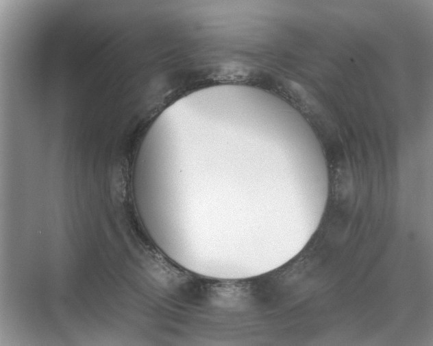 X0000071350370200606301658