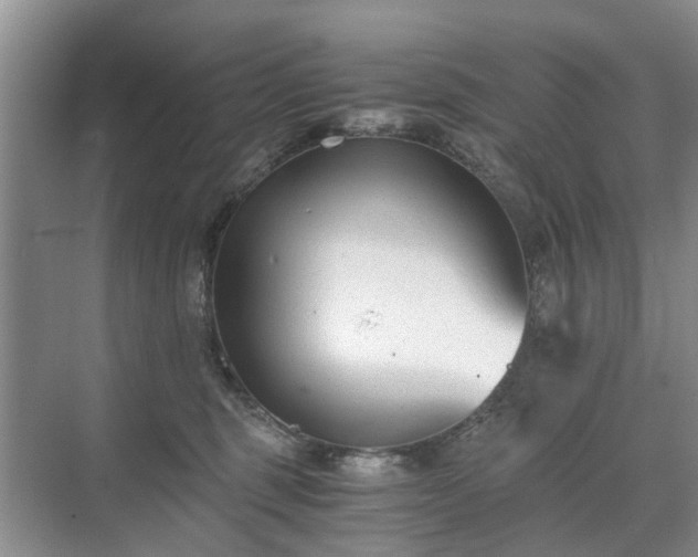 X0000071350375200606301658