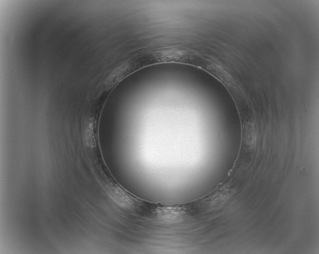 X0000071350378200606301658