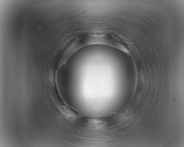 X0000071350380200606301658