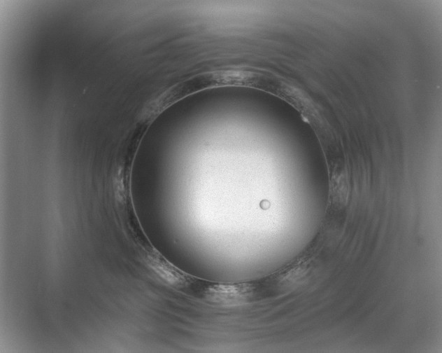 X0000071350381200606301658