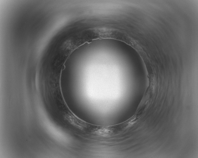 X0000071350383200606301658