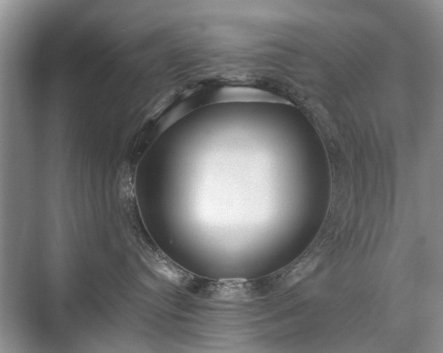 X0000071350384200606301658