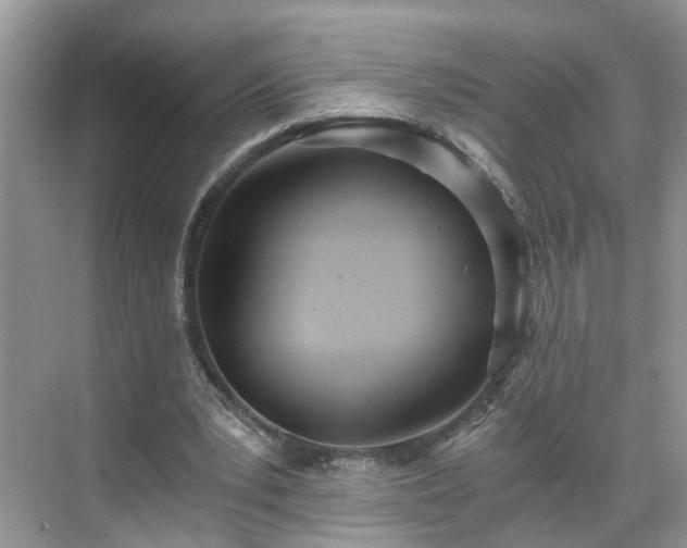 X0000071350391200606301658