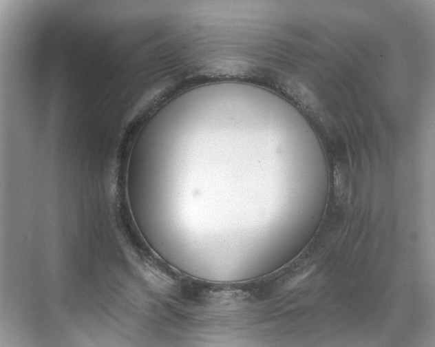 X0000071350396200606301657