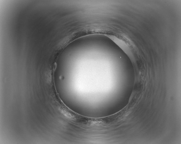 X0000071350401200606301657