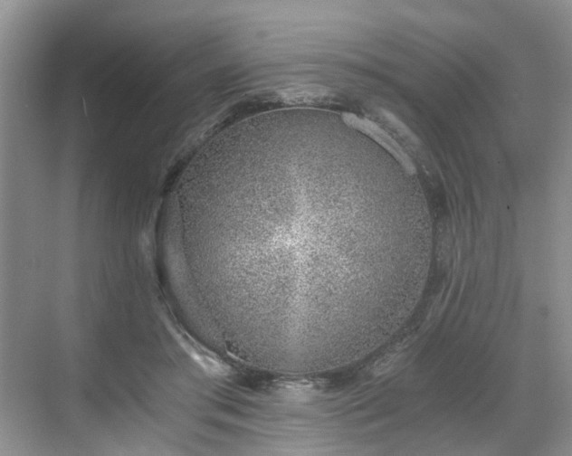 X0000071350405200606301657