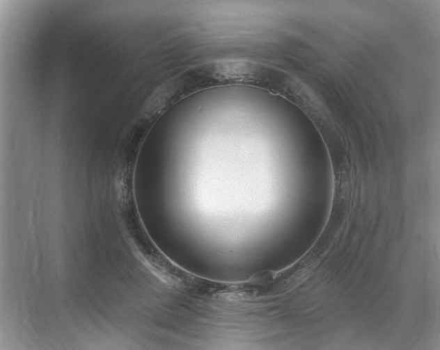 X0000071350408200606301657